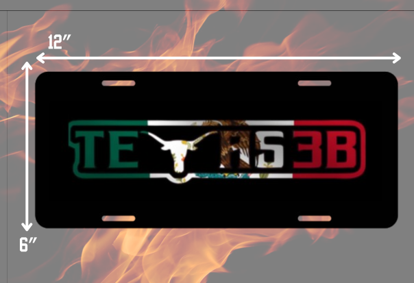 Texas 3B License Plates
