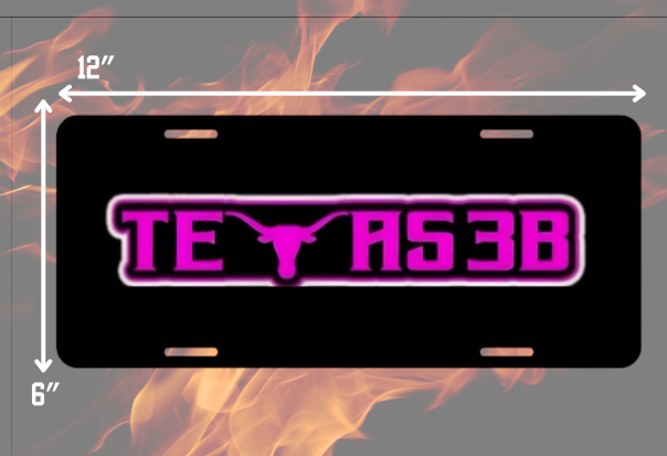 Texas 3B License Plates