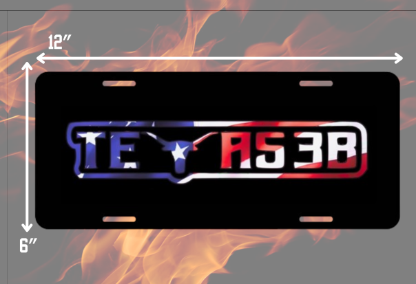 Texas 3B License Plates